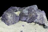 Cubic Fluorite Crystals on Matrix - Elmwood Mine #89955-3